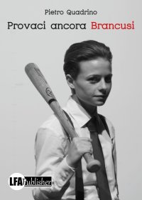 Immagine copertina libro Provaci ancora Brancusi