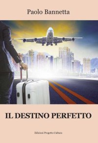 Immagine copertina libro Il destino perfetto