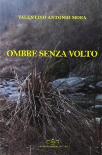 Immagine copertina libro Ombre senza volto