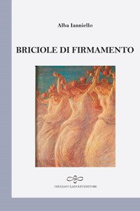 Immagine copertina libro Briciole di firmamento