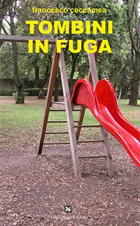 Immagine copertina libro Tombini in fuga