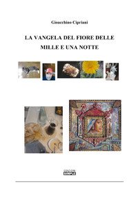 Immagine copertina libro La vangela del fiore delle mille e una notte