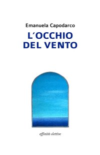 Immagine copertina libro L'occhio del vento