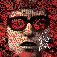 Immagine copertina libro Stone free. Ediz. italiana e inglese