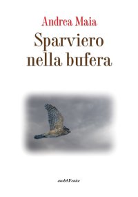 Immagine copertina libro Sparviero nella bufera