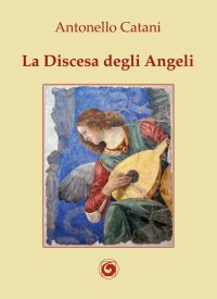 Immagine copertina libro La discesa degli angeli