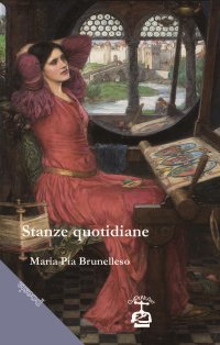 Immagine copertina libro Stanze quotidiane