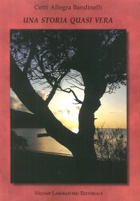 Immagine copertina libro Una storia quasi vera