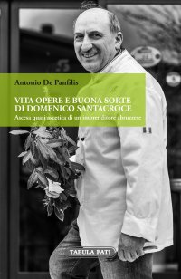 Immagine copertina libro Vita, opere e buonasorte di Domenico Santacroce. Ascesa quasi ascetica di un imprenditore abruzzese