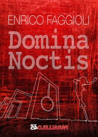 Immagine copertina libro Domina noctis