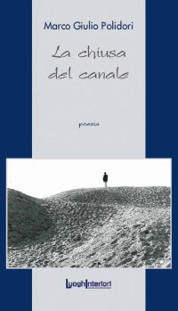 Immagine copertina libro La chiusa del canale