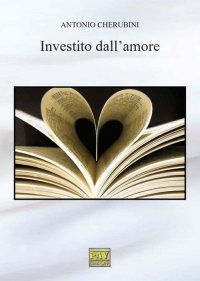 Immagine copertina libro Investito dall'amore