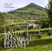 Immagine copertina libro La vite nel paesaggio dei Colli Euganei. Cenni storici, elementi visivi del vigneto, distretti e percorsi vinicoli