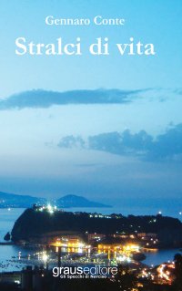 Immagine copertina libro Stralci di vita