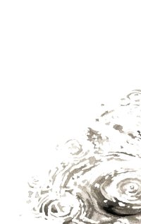 Immagine copertina libro L'algoritmo imperfetto