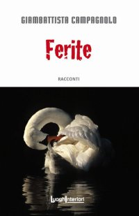 Immagine copertina libro Ferite