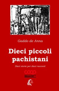 Immagine copertina libro Dieci piccoli pachistani. Dieci storie per dieci racconti