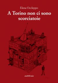 Immagine copertina libro A Torino non ci sono scorciatoie