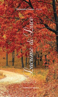 Immagine copertina libro Lacrime di luce