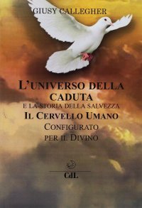 Immagine copertina libro L'universo della caduta e la storia della salvezza. Il cervello umano configurato per il divino