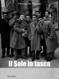Immagine copertina libro Il sole in tasca