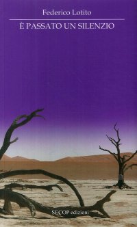 Immagine copertina libro È passato un silenzio