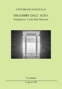 Immagine copertina libro Dicembre dall'alto