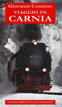 Immagine copertina libro Viaggio in Carnia