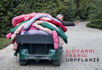 Immagine copertina libro Giovanni Frangi. Urpflanze. Ediz. italiana e inglese