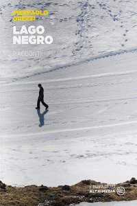 Immagine copertina libro Lago Negro
