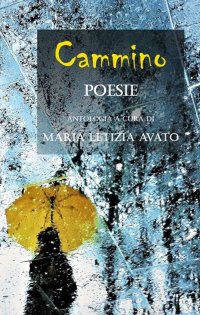 Immagine copertina libro Cammino