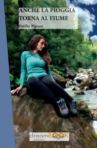 Immagine copertina libro Anche la pioggia torna al fiume