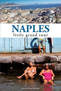 Immagine copertina libro Naples. Little grand tour