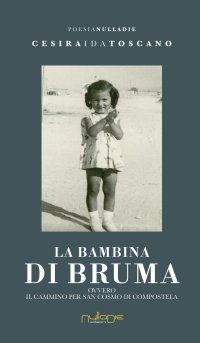 Immagine copertina libro La bambina di bruma ovvero Il Cammino per San Cosmo di Compostela