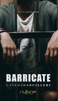 Immagine copertina libro Barricate