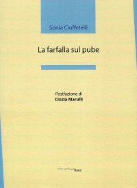 Immagine copertina libro La farfalla sul pube