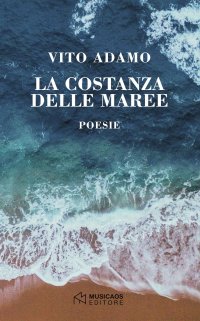 Immagine copertina libro La costanza delle maree