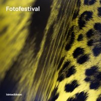 Immagine copertina libro Fotofestival. Ediz. italiana e inglese