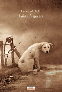 Immagine copertina libro Lillo e la guerra