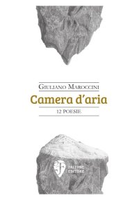 Immagine copertina libro Camera d'aria