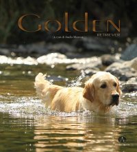 Immagine copertina libro Golden Retriever