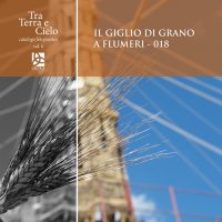 Immagine copertina libro Il giglio di grano a Flumeri. 018