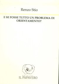 Immagine copertina libro E se fosse tutto un problema di orientamento?