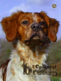 Immagine copertina libro L'épagneul breton