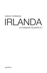 Immagine copertina libro Irlanda. Un romanzo incompiuto