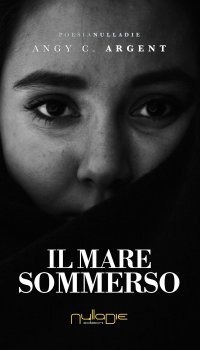 Immagine copertina libro Il mare sommerso