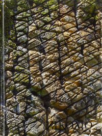 Immagine copertina libro Zikomo 1977-2018. Padre Mario Pacifici, 41 anni di gioia non terminata in Malawi