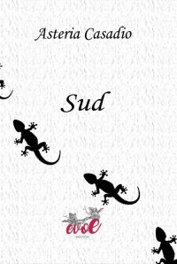 Immagine copertina libro Sud