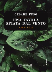 Immagine copertina libro Una favola spiata dal vento
