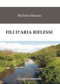 Immagine copertina libro Fili d'aria riflessi